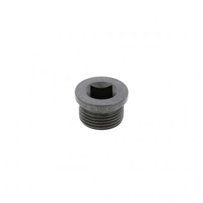 DRAIN PLUG