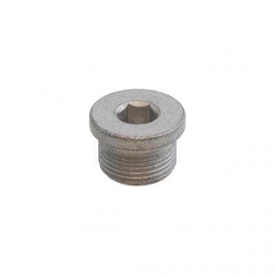 DRAIN PLUG