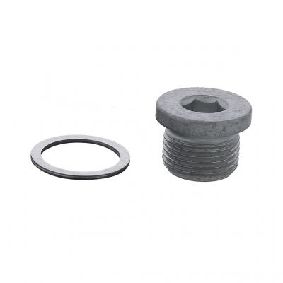 DRAIN PLUG KIT