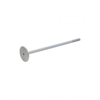 INTAKE VALVE