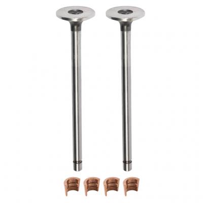 EXHAUST VALVE KIT (Pack of 2)