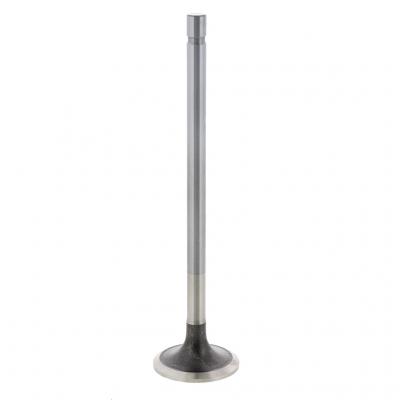 EXHAUST VALVE (Pack of 2)