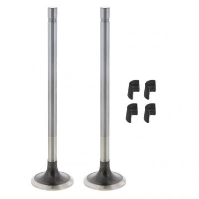 EXHAUST VALVE KIT (Pack of 2)