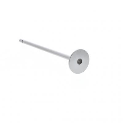 INTAKE VALVE (Pack of 12)