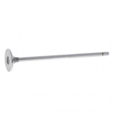INTAKE VALVE (Pack of 2)