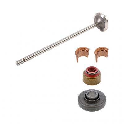 INTAKE VALVE KIT (Pack of 2)