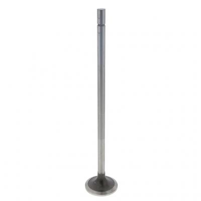 EXHAUST VALVE (Pack of 2)