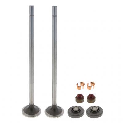 EXHAUST VALVE KIT (Pack of 2)