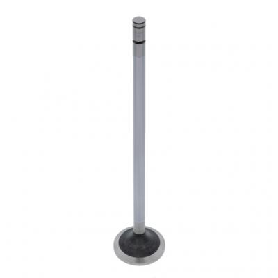 EXHAUST VALVE (Pack of 12)