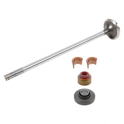 EXHAUST VALVE KIT (Pack of 2)