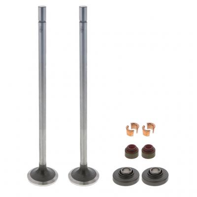 EXHAUST VALVE KIT (Pack of 2)