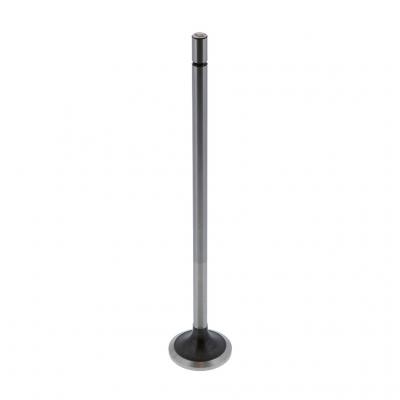 EXHAUST VALVE (Pack of 2)