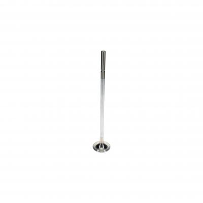EXHAUST VALVE (Pack of 2)