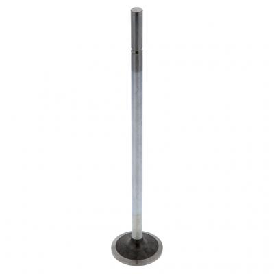 INTAKE VALVE (Pack of 2)