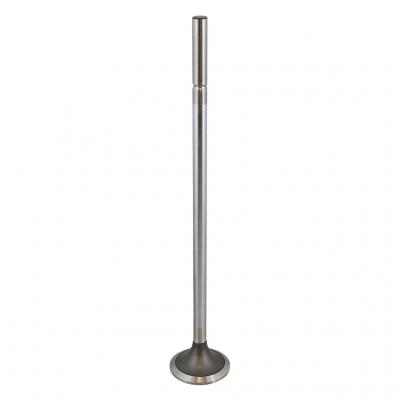 EXHAUST VALVE (Pack of 2)