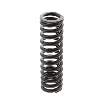INTAKE VALVE SPRING