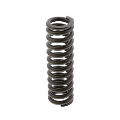 VALVE SPRING