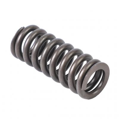 VALVE SPRING (Pack of 6)