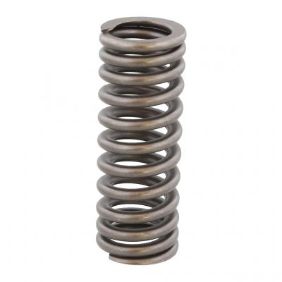 VALVE SPRING (Pack of 4)