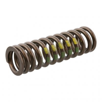 EXHAUST VALVE SPRING