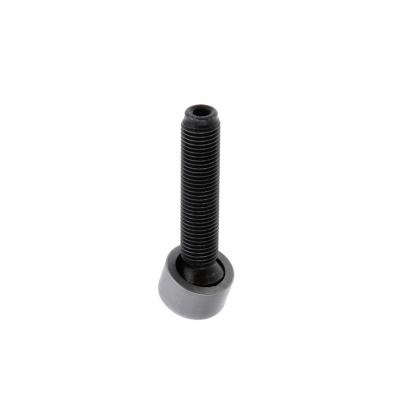 ADJUSTING SCREW (Pack of 2)