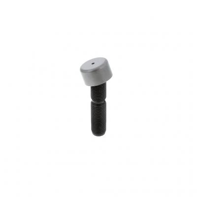 ADJUSTING SCREW (Pack of 2)