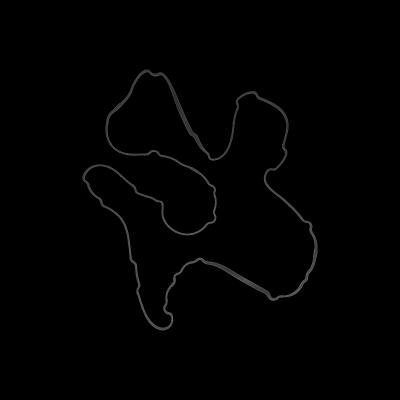 Oil Pan Gasket