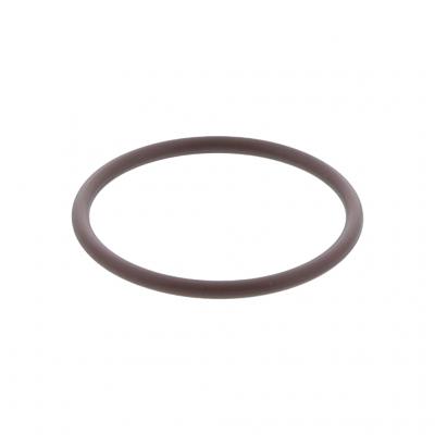 O-Ring (Pack of 6)
