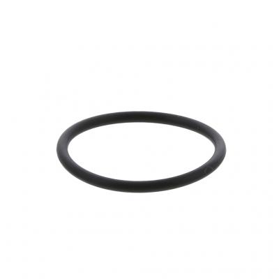 O-RING (Pack of 6)