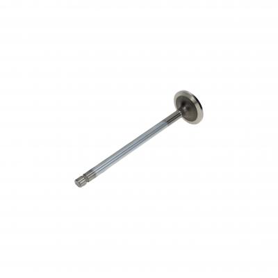 INTAKE VALVE (Pack of 2)