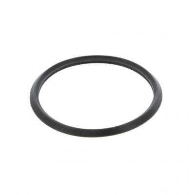 THERMOSTAT SEAL (Pack of 2)
