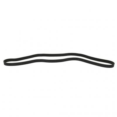 SERPENTINE BELT