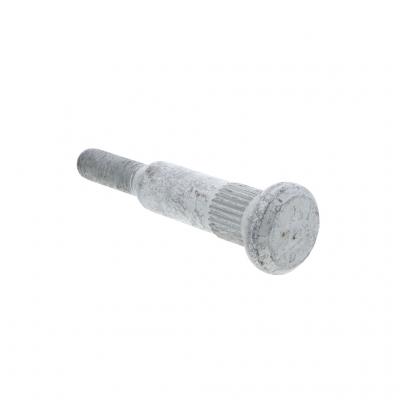 BOLT (Pack of 2)