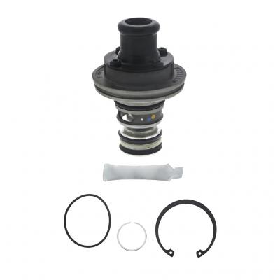 PURGE VALVE KIT