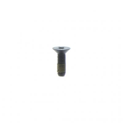 SCREW (Pack of 5)