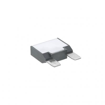 CIRCUIT BREAKER (Pack of 2)