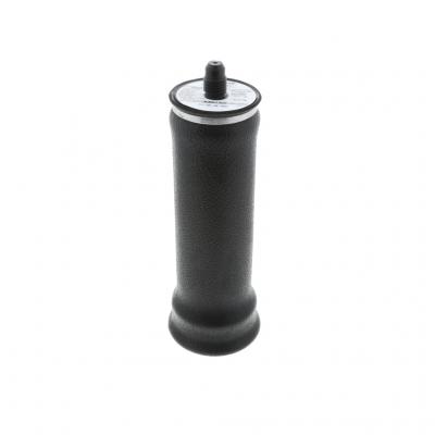 AIR SPRING