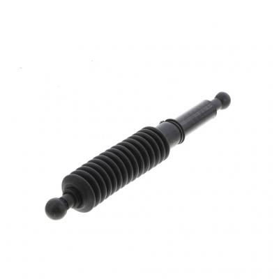 HOOD SHOCK