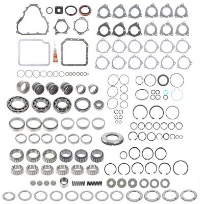 BEARING AND SEAL KIT