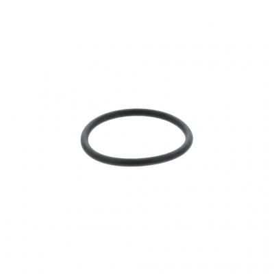 O-RING (Pack of 5)