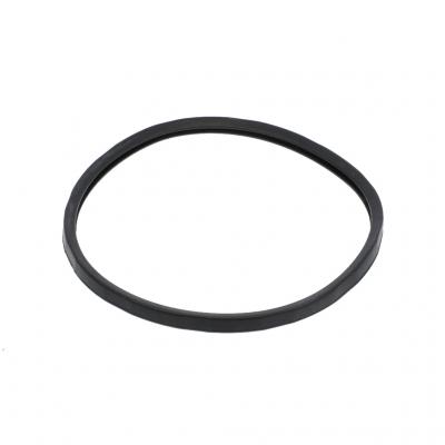 THERMOSTAT SEAL (Pack of 4)