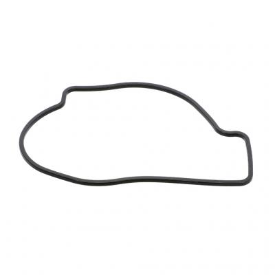THERMOSTAT SEAL GASKET
