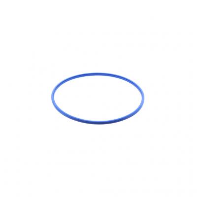 SEALING RING (Pack of 6)