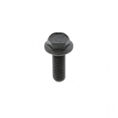SCREW (Pack of 10)