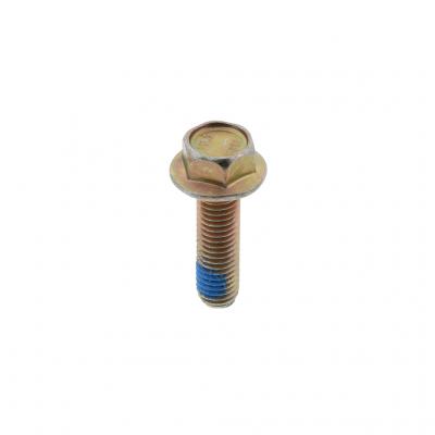 SCREW (Pack of 6)