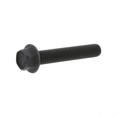 FLANGED HEX HEAD SCREW (Pack of 6)
