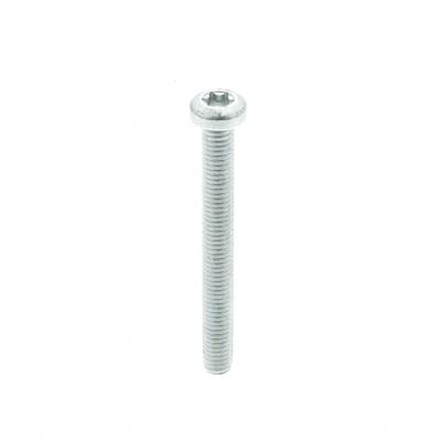 SCREW (Pack of 3)