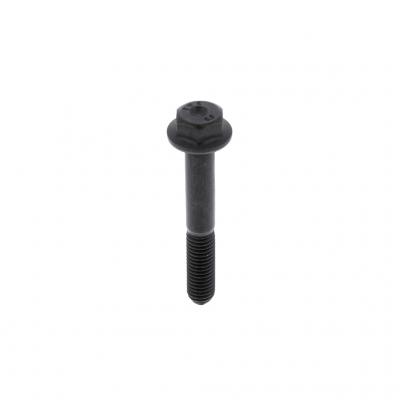 SCREW (Pack of 5)
