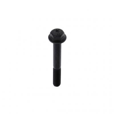 SCREW (Pack of 6)