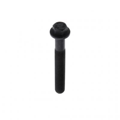 SCREW (Pack of 12)